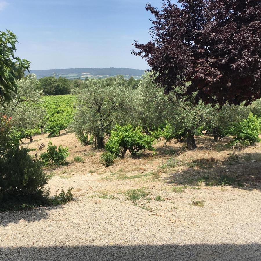 Вілла Mas Du Prescondu Mirabel-aux-Baronnies Екстер'єр фото